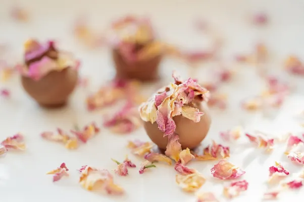 Cresus Kaszinó Android/iOS Alkalmazás